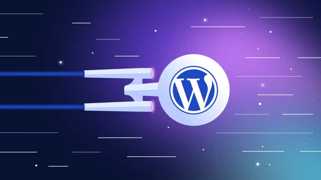 WordPress speed optimization service